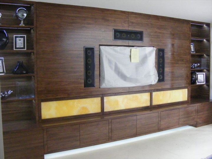 Decorated living room with a dark timber feature wall